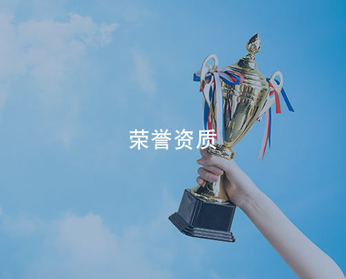 成功案例